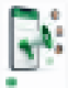 Bulk WhatsApp Messaging